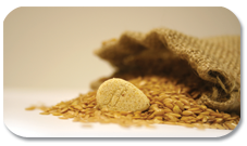 FlaxSeed Image