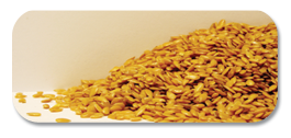 FlaxSeed Image